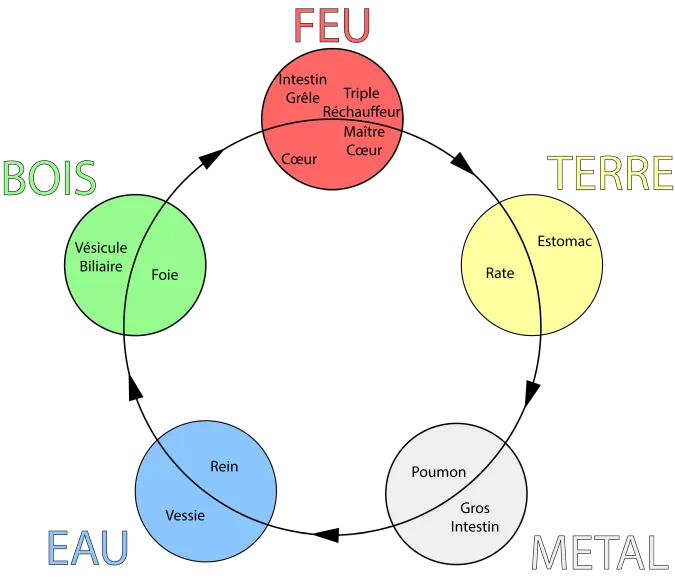 Le coaching